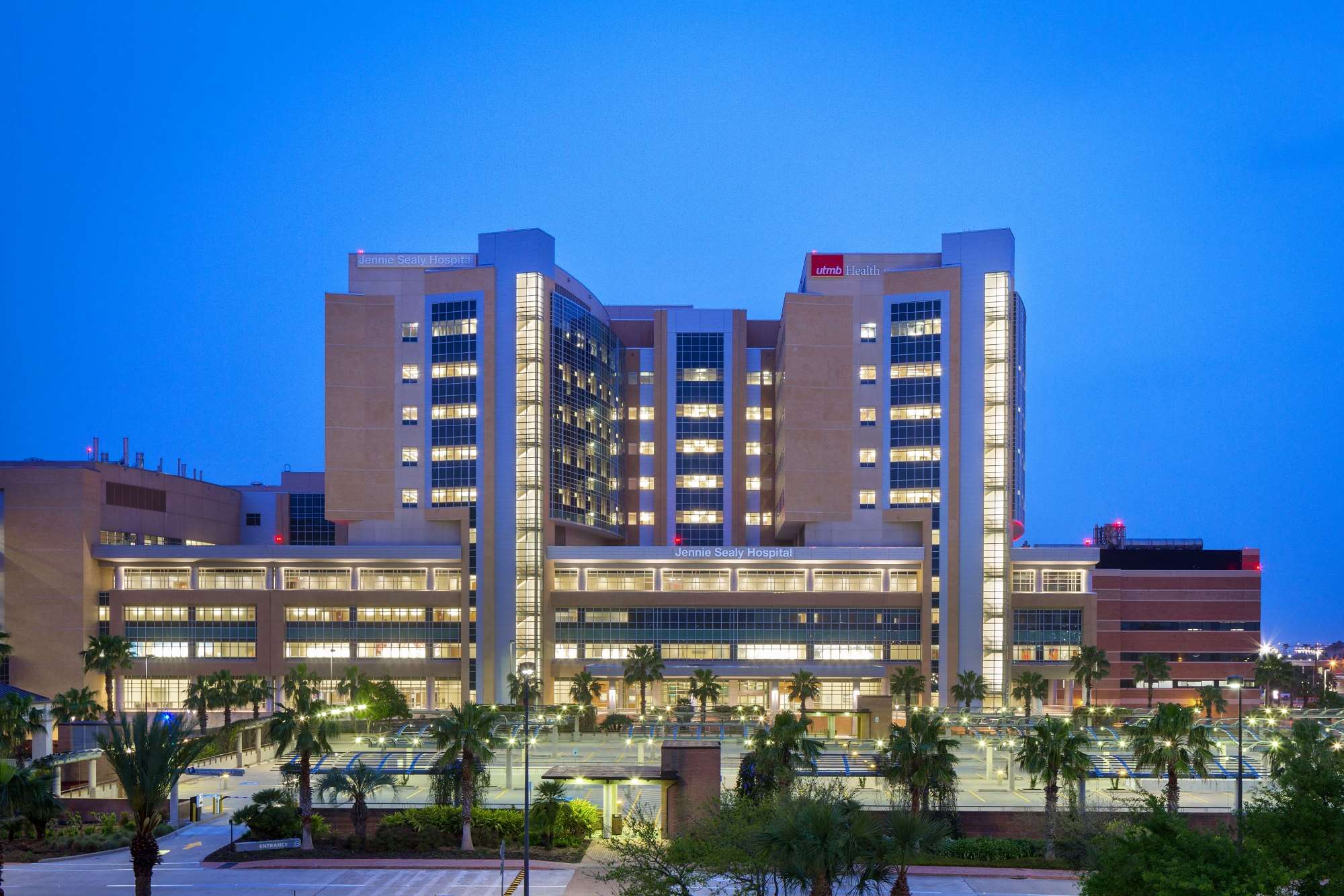 Banner image for article: UTMB Living